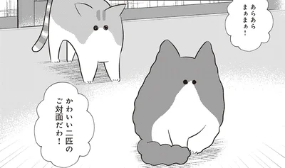 かわいい二匹のご対面だわ！