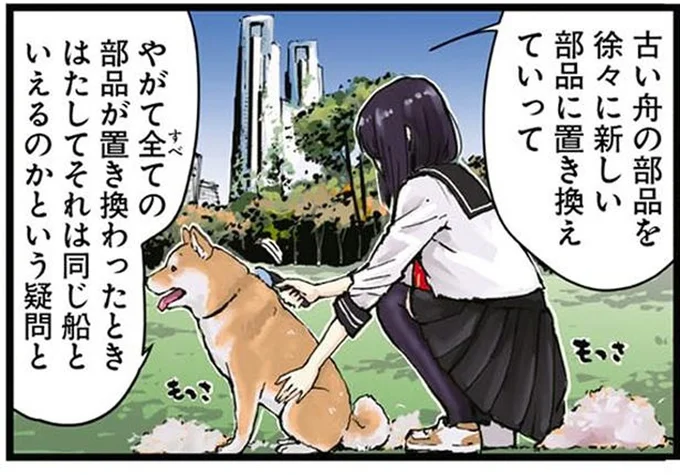 もっさもっさ