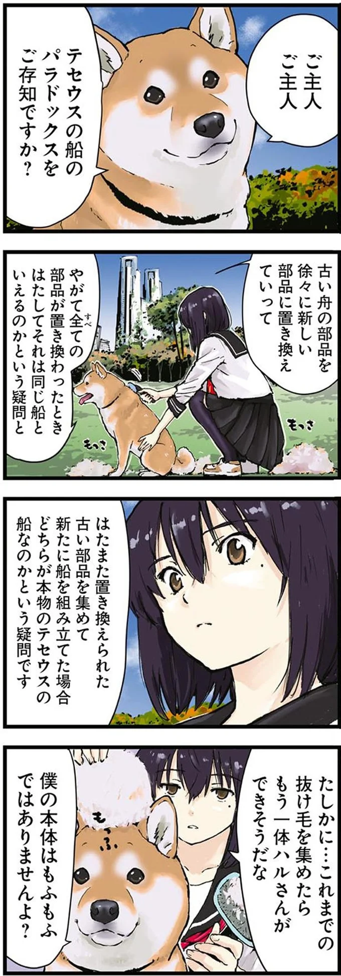 これまでの抜け毛を集めたら