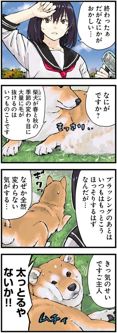 気のせいですご主人
