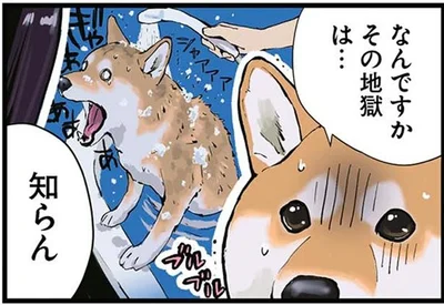 なんですかその地獄は…