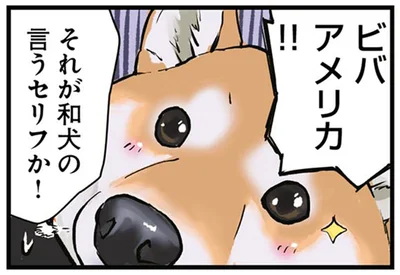 ビバアメリカ！！