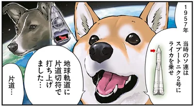 片道切符で打ち上げました…