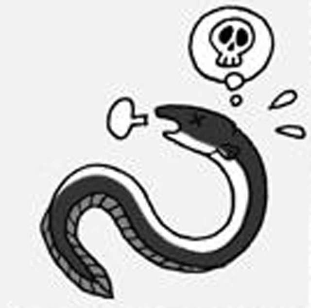 ウナギといえば「蒲焼き」や「ひつまぶし」。生で食べない訳は？／雑学うんちく図鑑（9）