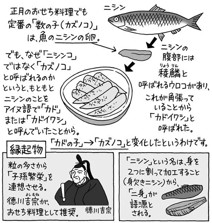 「カドの子」→「カズノコ」と変化