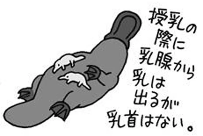 実に変わった生態が知られています