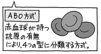 かつて血液型には「C型」があった!?／雑学うんちく図鑑（36）