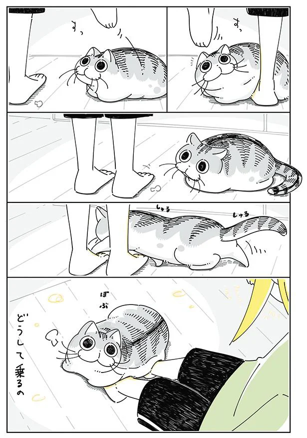 どうして乗るの