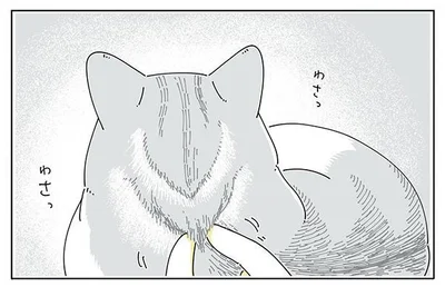 わさっわさっ