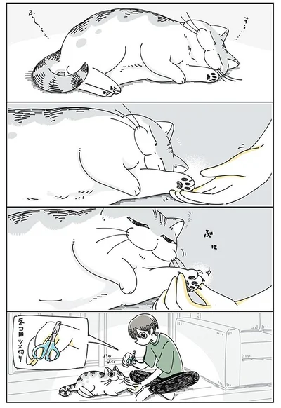 眠いうちにツメ切り