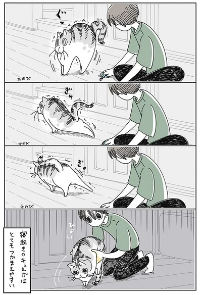 寝起きはつかまえやすい