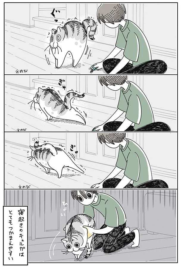 寝起きはつかまえやすい