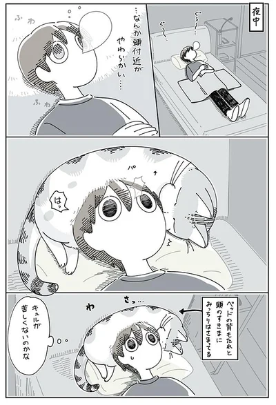 際どい場所で寝たいらしい