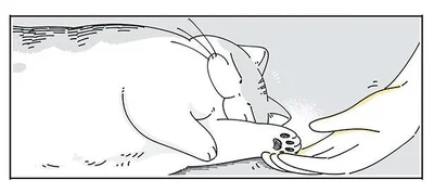 すぅ......