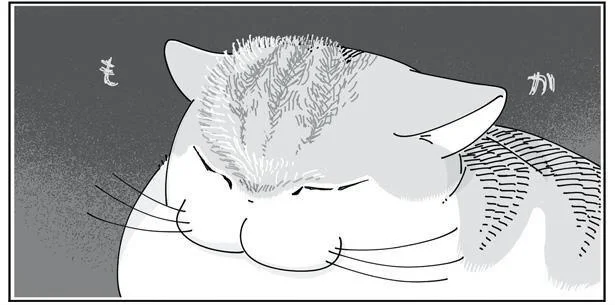 も か