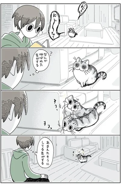 遠くの方であまえるネコ