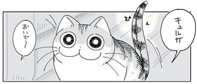 おいで〜
