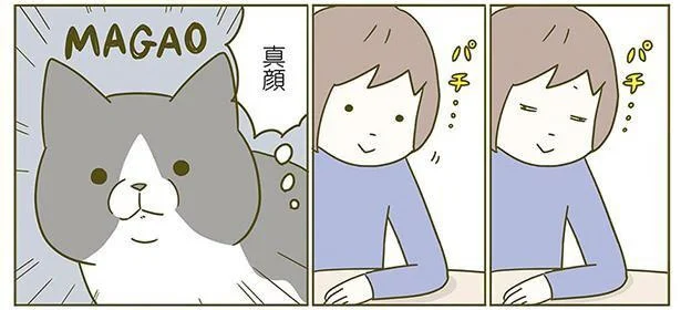 MAGAO!!