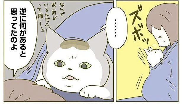 逆に何があると思ってたのよ