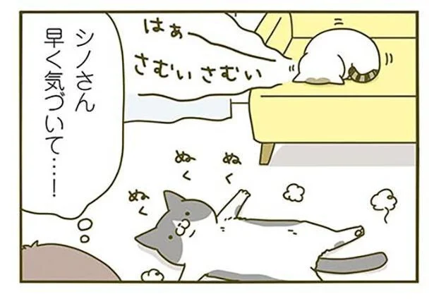 はぁーさむいさむい
