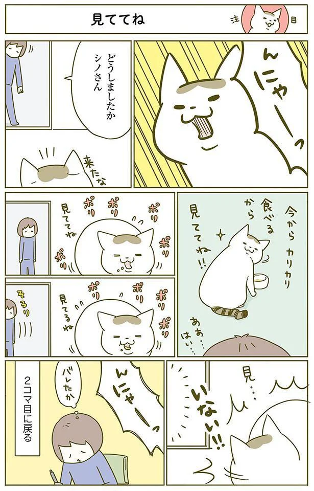 見ててね