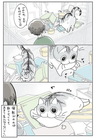 あまり気にならないらしい