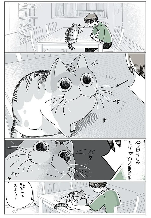 ネコのヒゲを数えたい