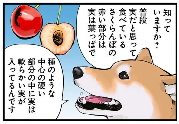 知っていますか?