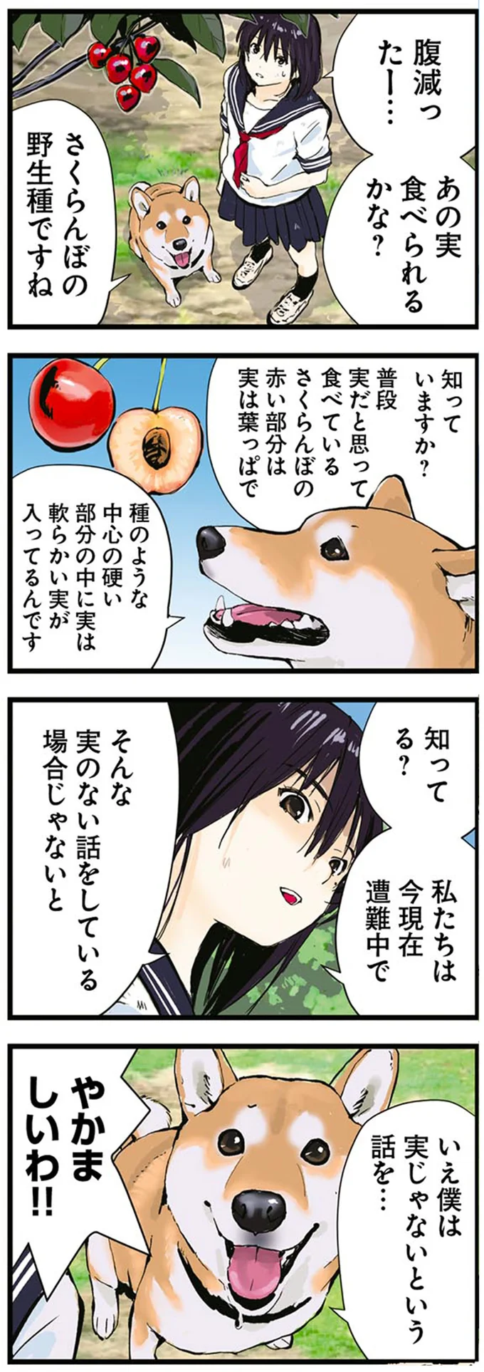 あの実食べられるかな？
