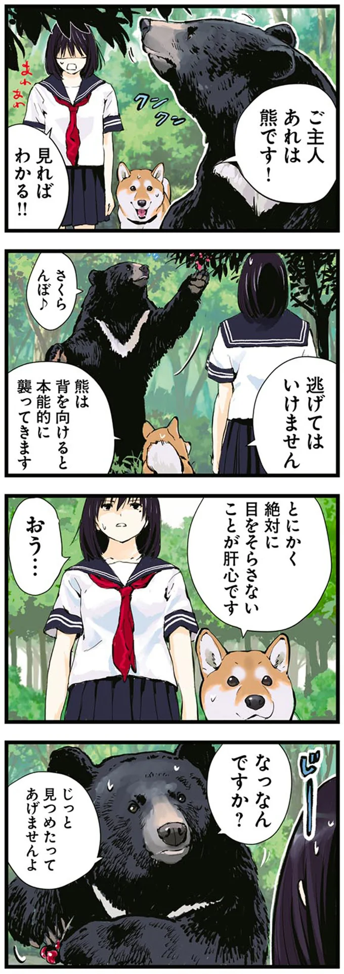 とにかく絶対に目をそらさないことが肝心です