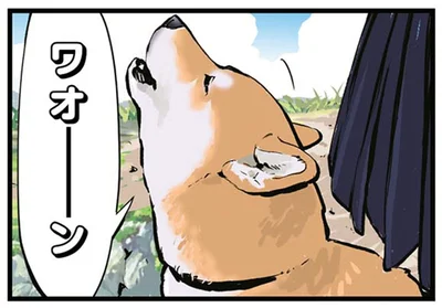 ワオーン