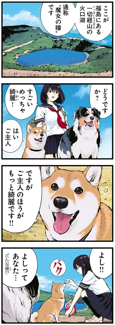 はいご主人