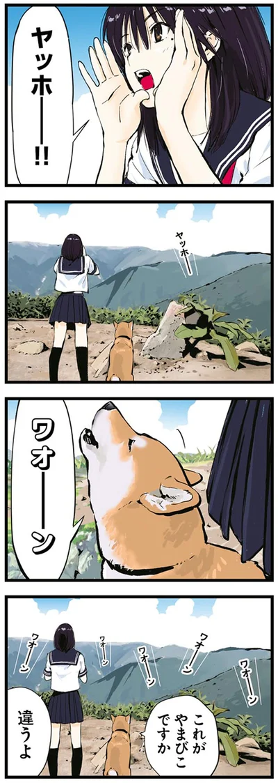 これがやまびこですか
