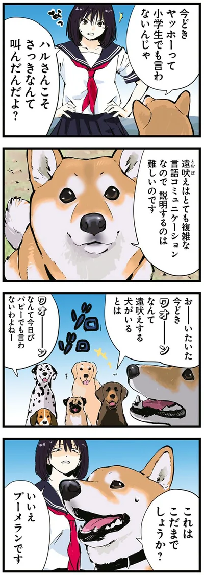 これはこだまでしょうか？