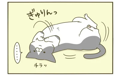 視界の端でかわいいことしてる