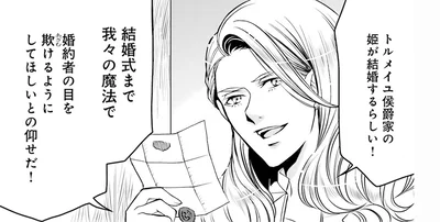婚約者の目を欺けるようにしてほしいとの仰せだ！