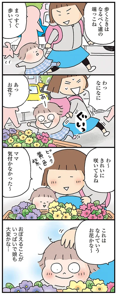 これはなんていうお花かな～