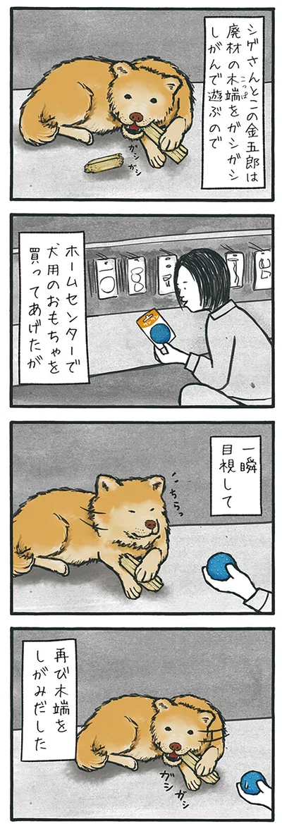 『工務店の日報』より