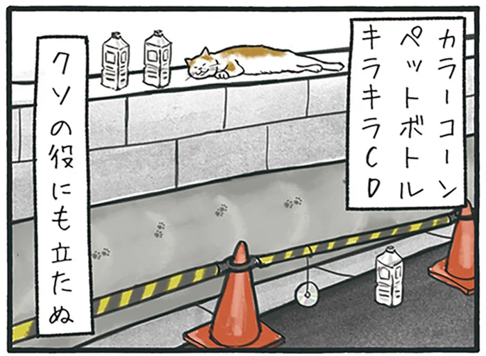 絶対ワザとだよね？ 左官作業のそばにいる猫は、決して期待を裏切らない／工務店の日報（2）