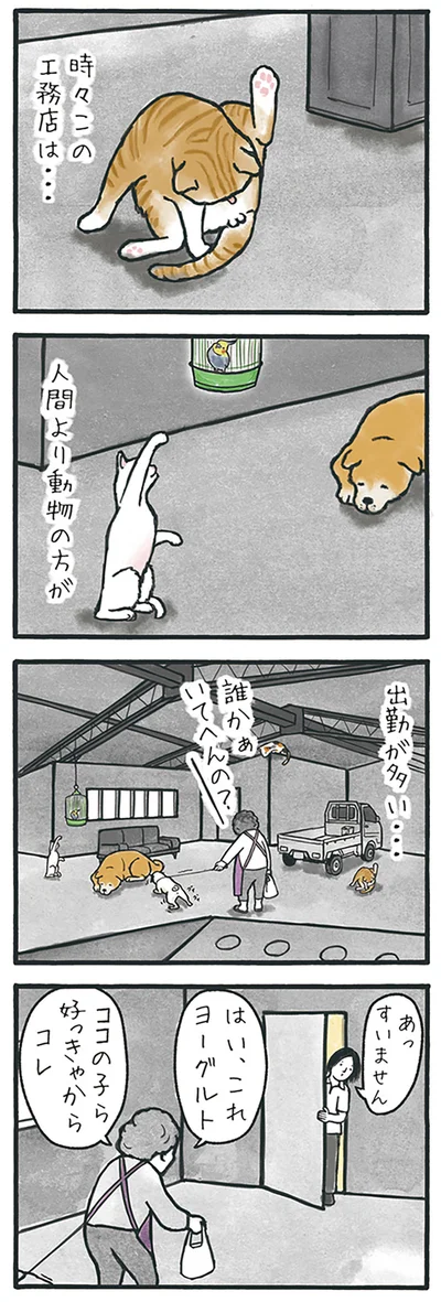 人間より動物の方が…