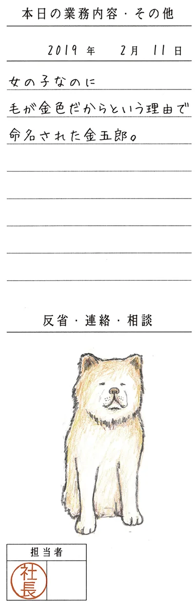 女の子なのに