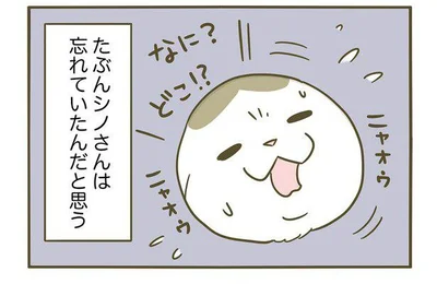 なに？どこ!?