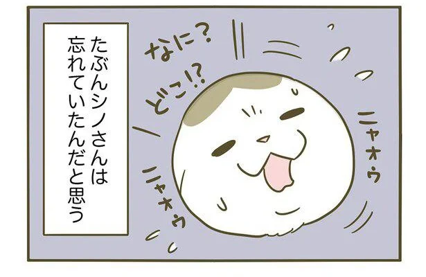 なに？どこ!?