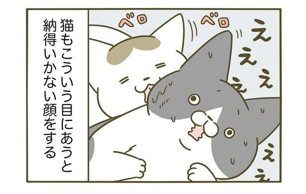 ええええええ!?