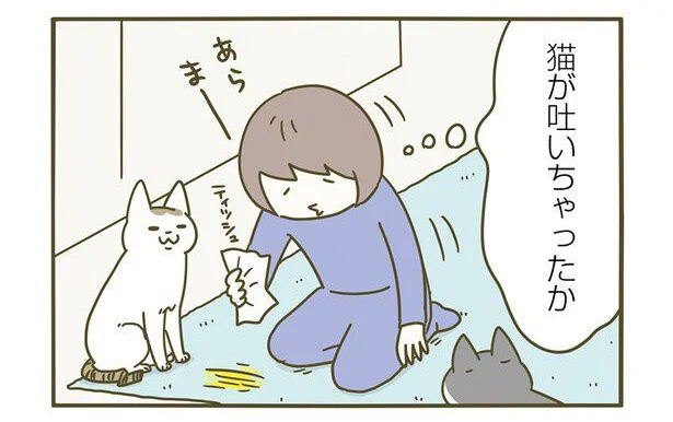 猫がはいちゃったか