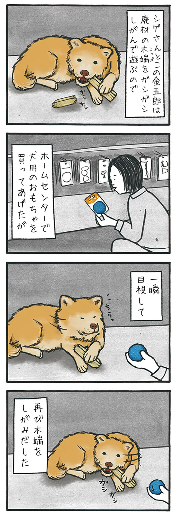 犬用のおもちゃを買ってあげたが