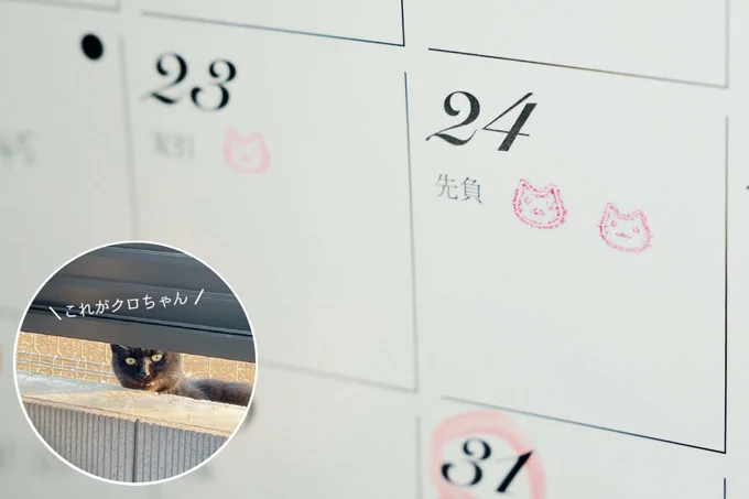 三吉家では、地域猫のクロちゃんが癒しの存在。庭に遊びに来たらカレンダーにハンコ！
