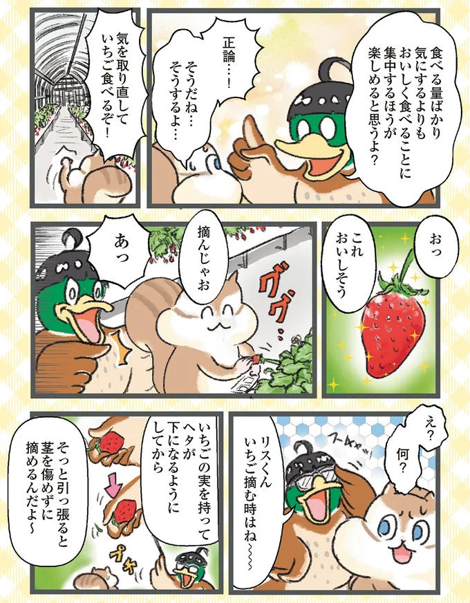 『今日も食欲を我慢できないリス』より