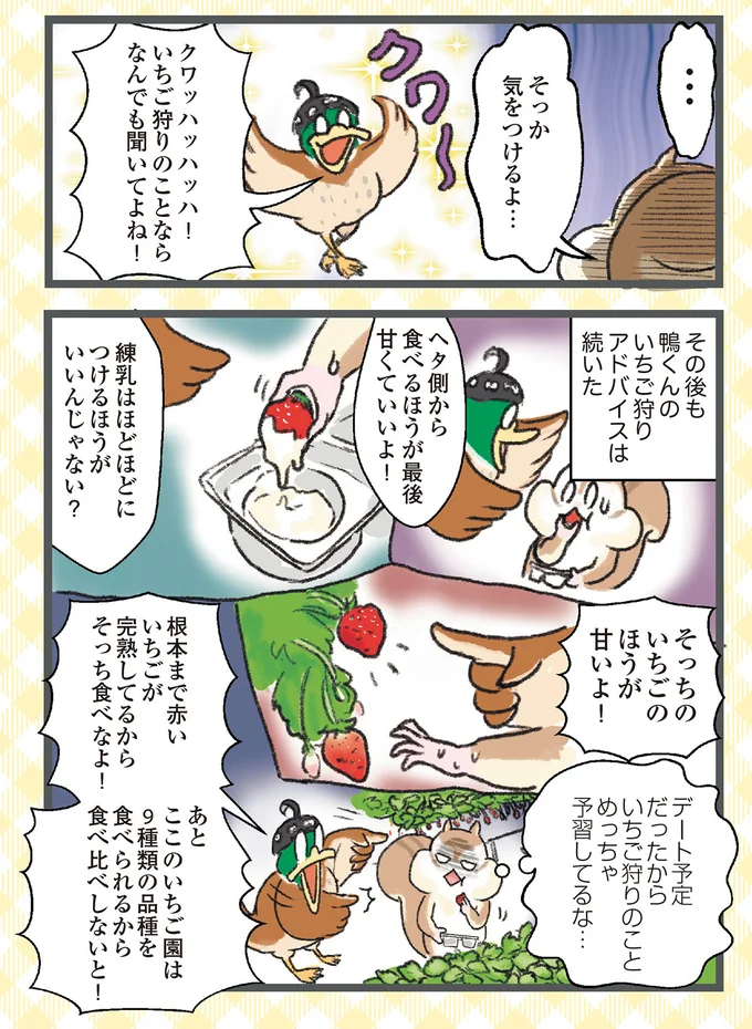 『今日も食欲を我慢できないリス』より