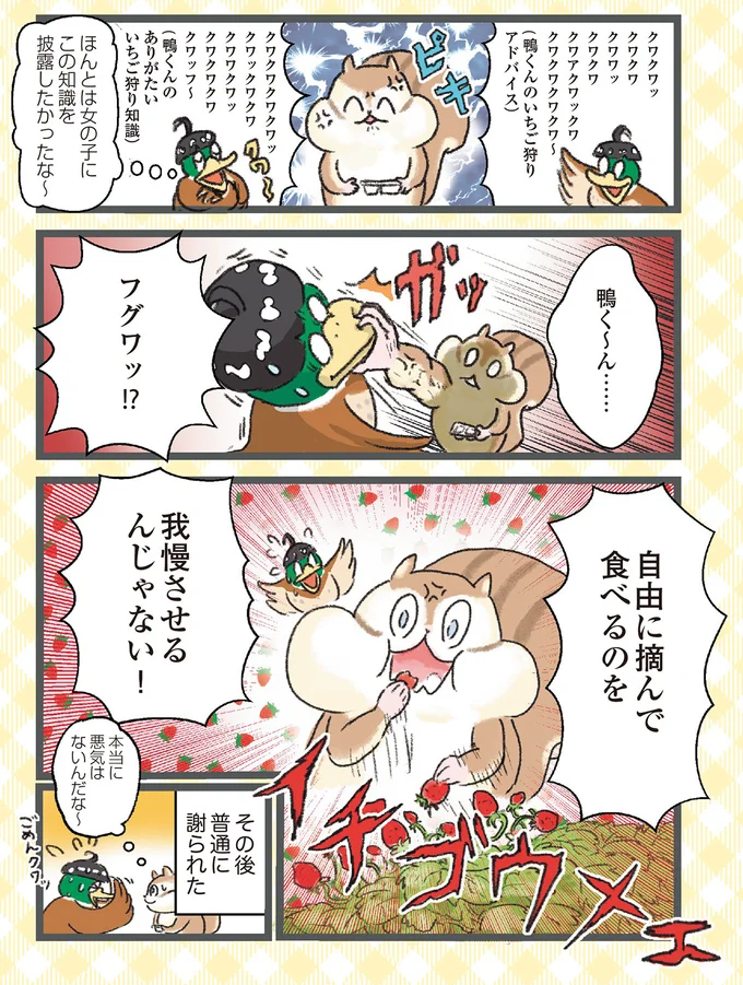 『今日も食欲を我慢できないリス』より
